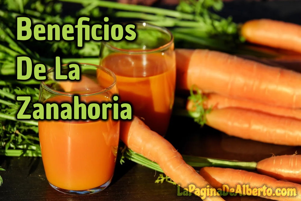 10 Beneficios de la Zanahoria - La Página De Alberto.