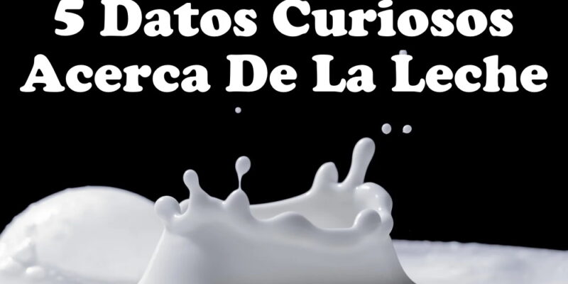 5 datos curiosos acerca de la leche la pagina de alberto 22266 1817