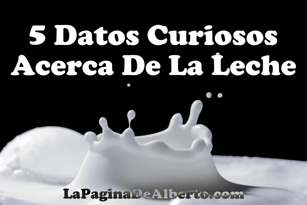 5 Datos Curiosos Acerca De La Leche – La Página De Alberto.