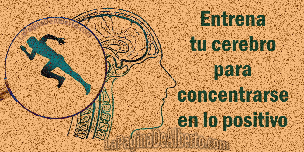 Entrena Tu Cerebro Para Centrarse En Lo Positivo – La Página De Alberto.