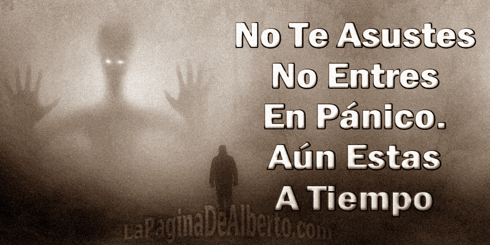 No Te Asustes, No Entres En Pánico, Aún Estas A Tiempo – La Página De Alberto