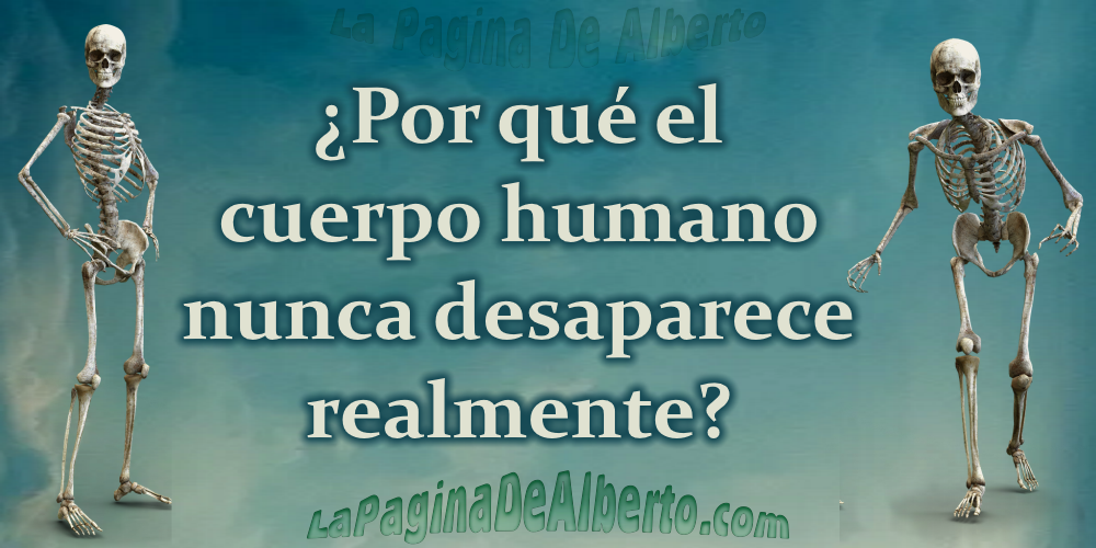 Por qué el cuerpo humano nunca desaparece realmente – La Página De Alberto.