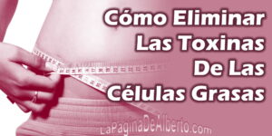 como eliminar las toxinas de las celulas grasas la pagina de alberto